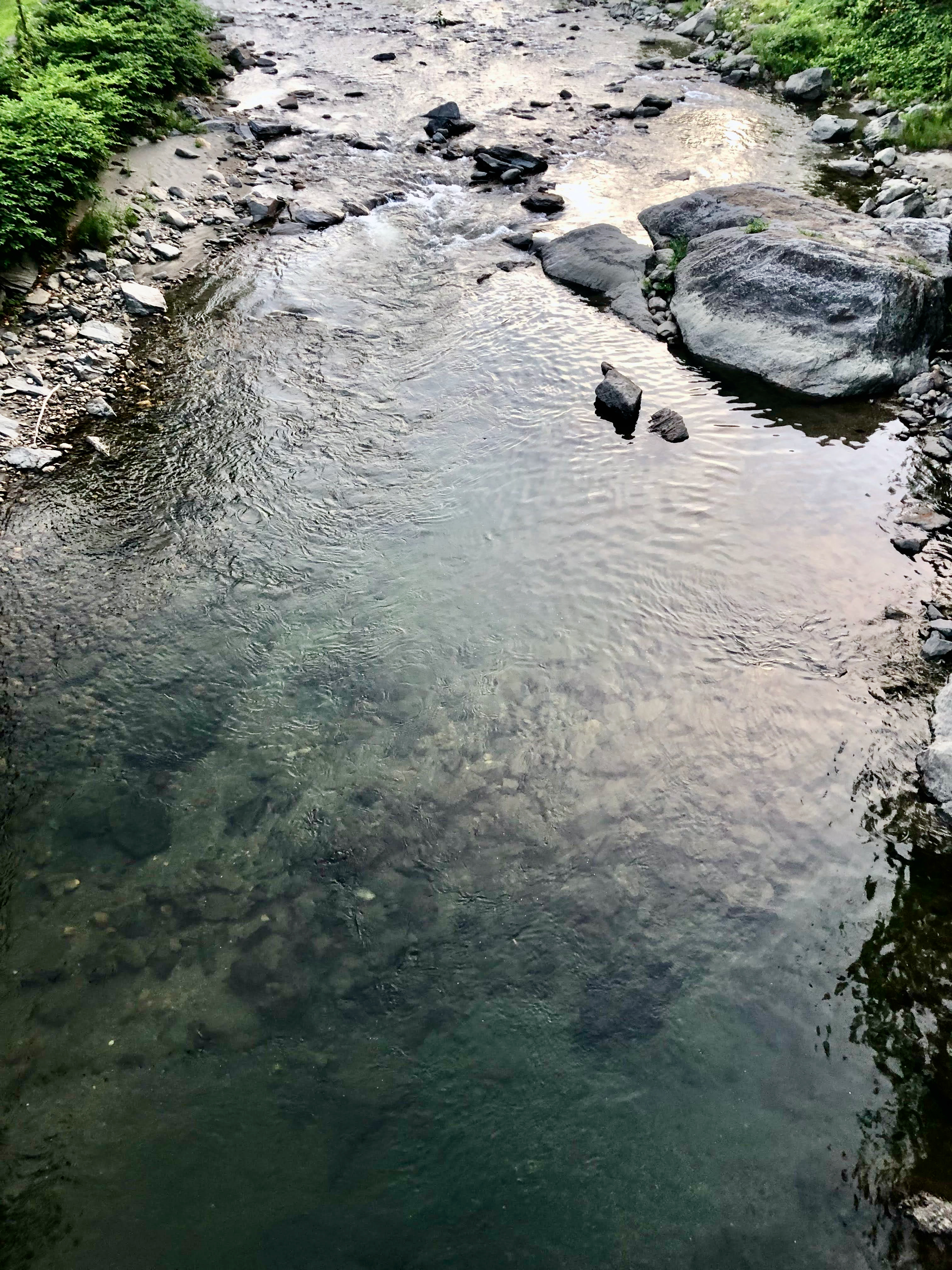 picture of a stream with rocks
